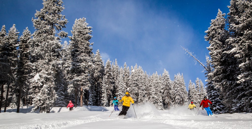 kimberley-alpine-resort 28695573474 o