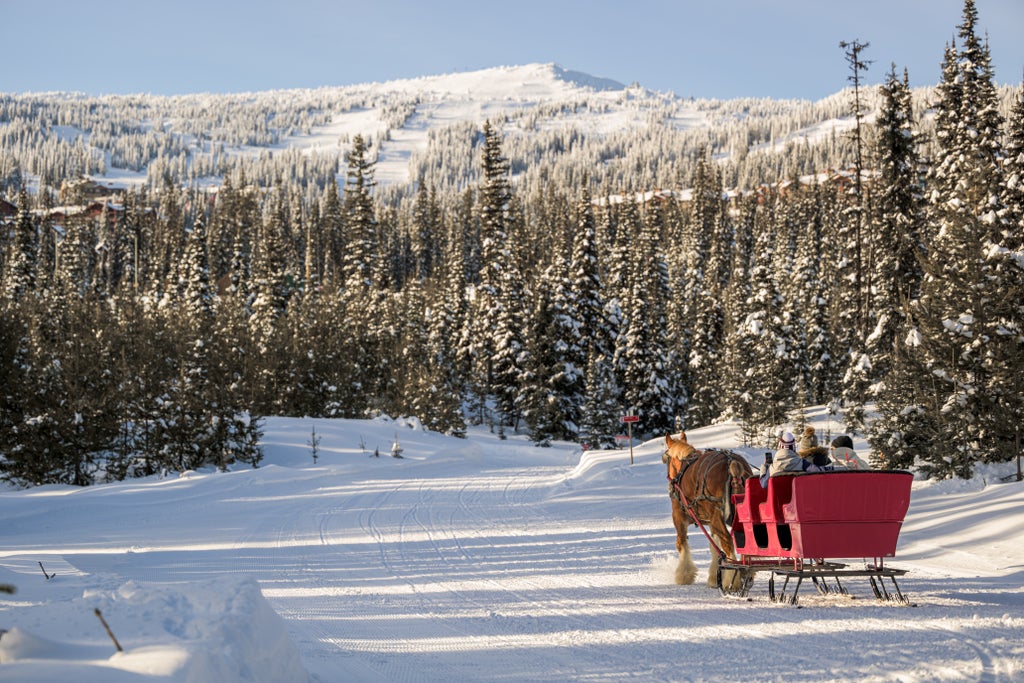 Big White Ski Resort_Horse Drawn Sleigh Ride_(c): Andrew Jay
