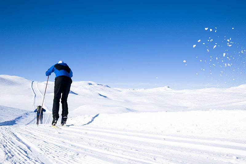 Haukelifjell