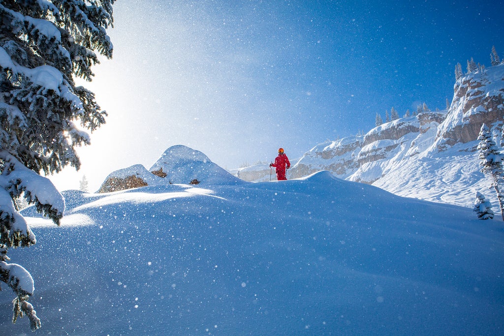 OTS Spotlight PhotoCred Jeremy Swanson 1920x1280