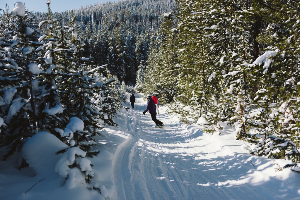 february-2019 49138612228 o