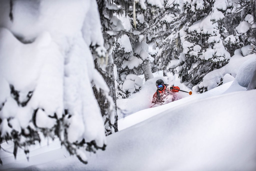 Whistler Blackcomb_Freeride Ski_Deep Powder_(c): Whistler Blackcomb
