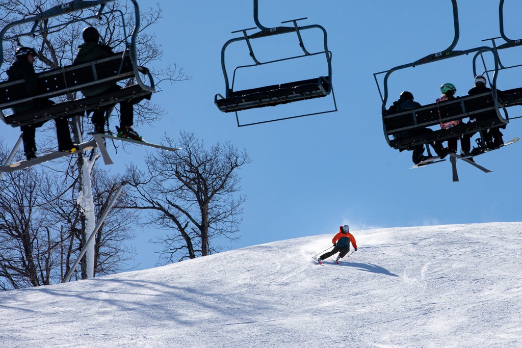 Wintergreen 8H0A7219