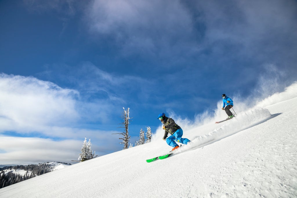 Credit John Webster 210210jjw-133