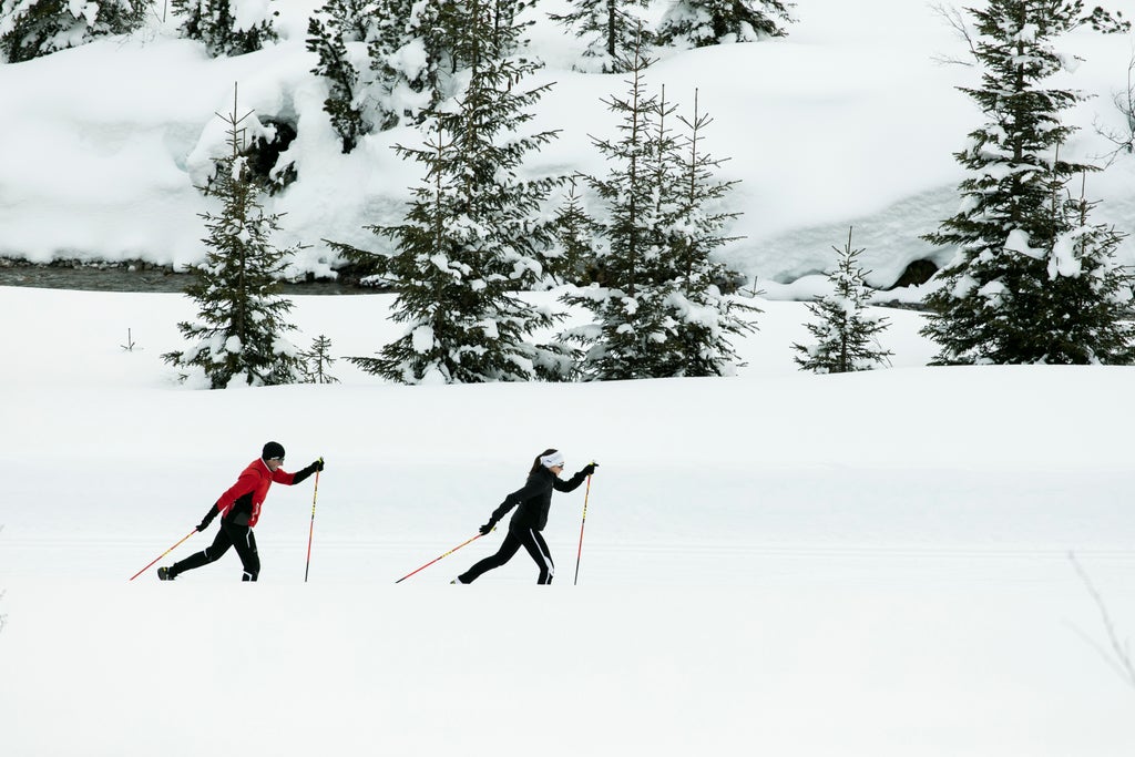 Lech Zürs_Cross-Country Skiing Trail_(c): Christoph Schöch Photography GmbH