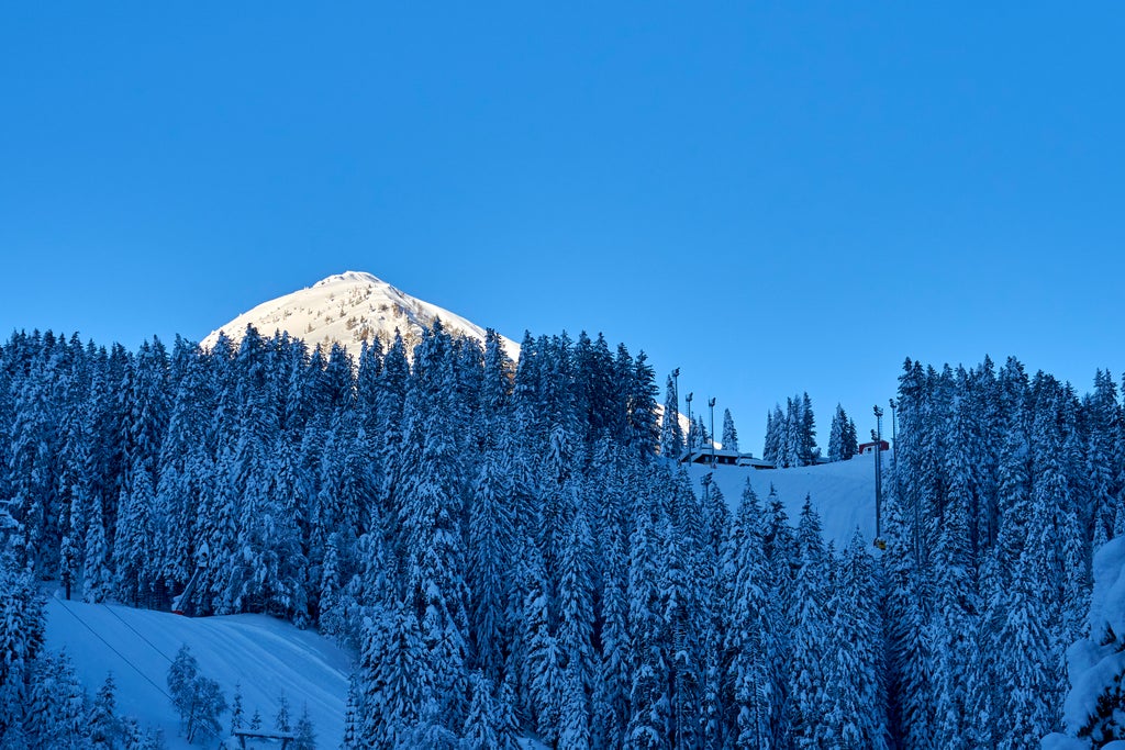 Madonna di Campiglio_Forest Slopes_(c): Paolo Bisti - Luconi