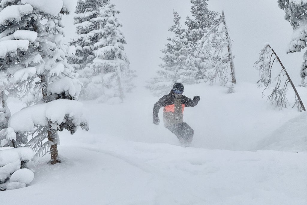 Skiing through trees and powder at Monarch