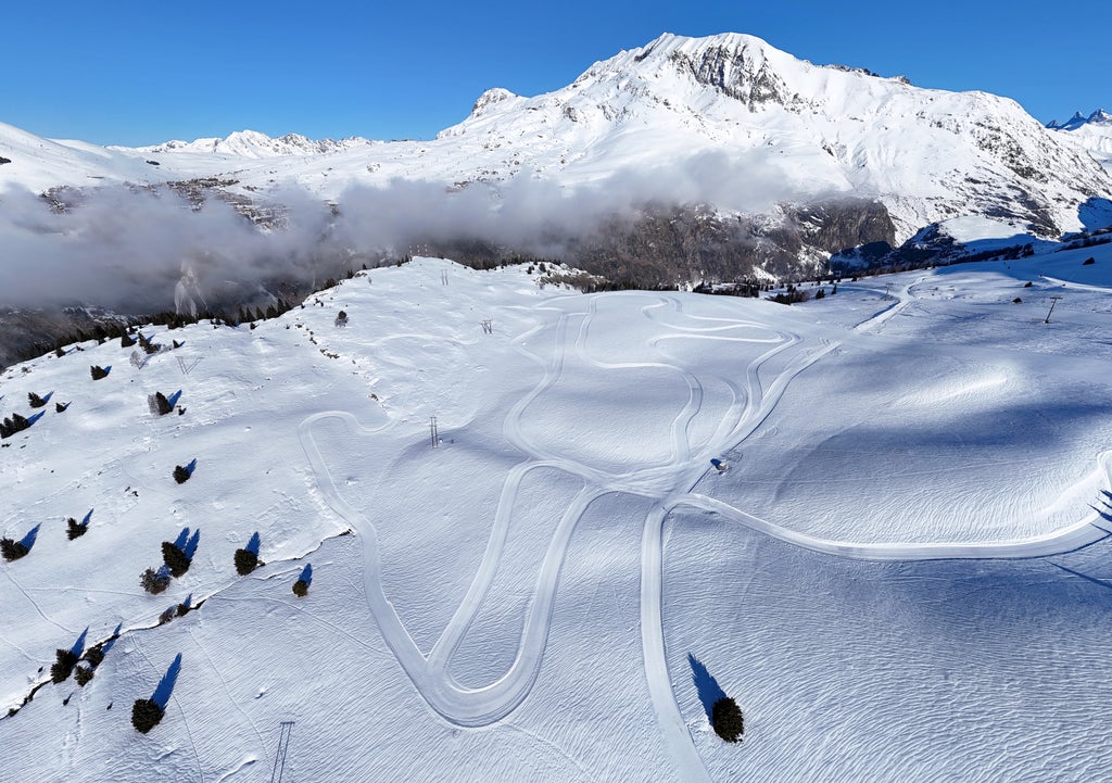 Auris 0224 @Andy Eme (2)