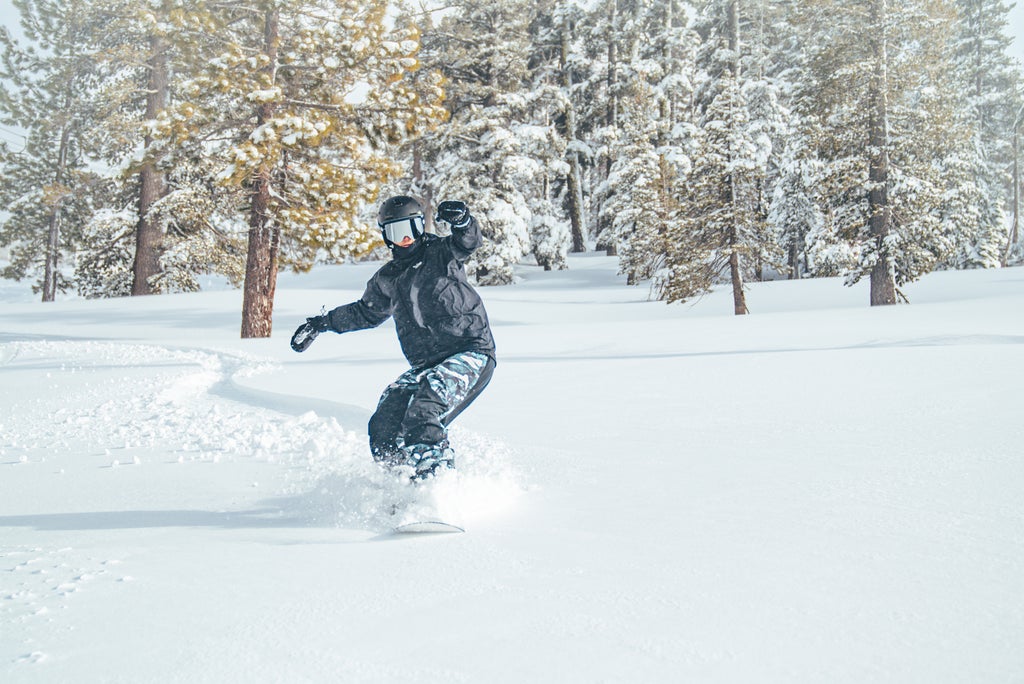 Boreal Mountain Resort_Fresh Snow_Snowboarder Off-Piste 1_(c): Boreal Mountain Resort