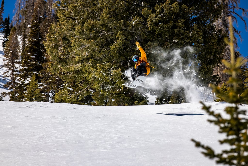 Snowbird_Snowboard Grab Trick Jump_(c): Jay Dash