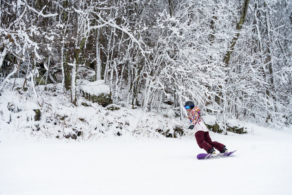 Wintergreen DSC06103