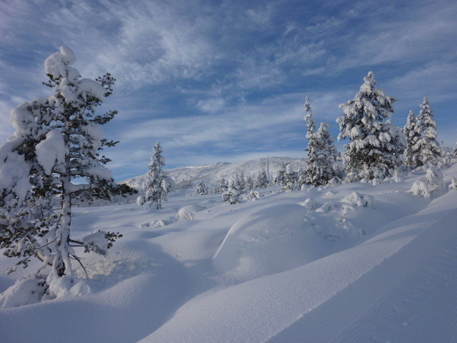 Hallbjønn Alpine Centre