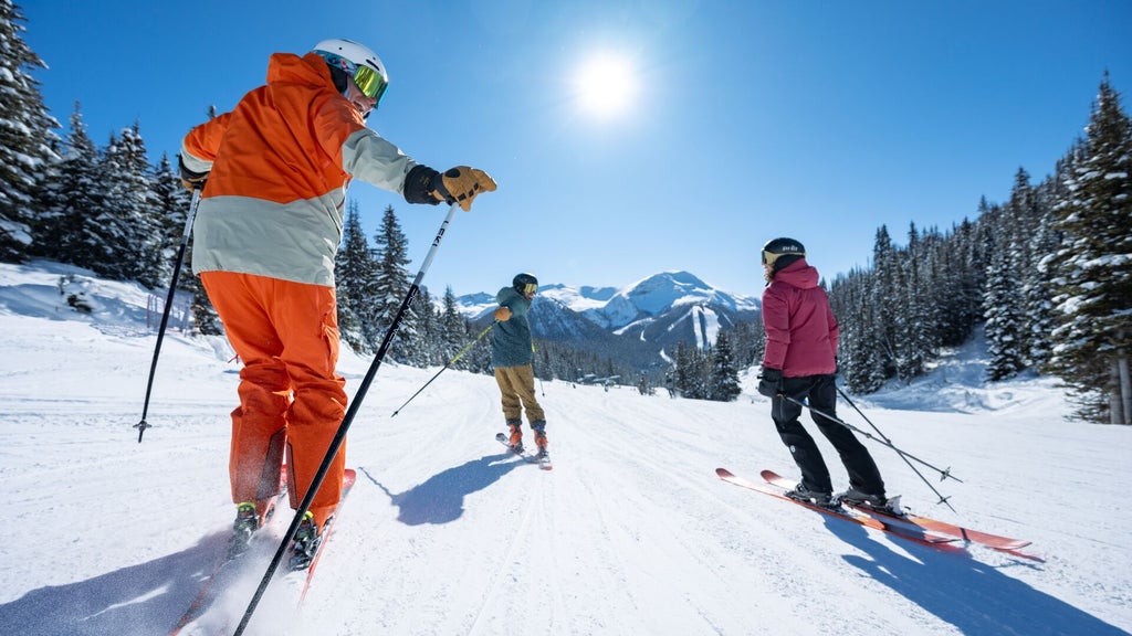 Lake Louise_Bluebird_Groomed Slope Skiers_(c): SkiBig3 / Reuben Krabbe