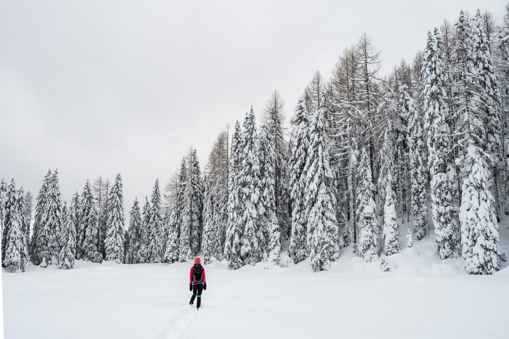 Friuli_Snow Landscape_(c): Luciano Gaudenzio