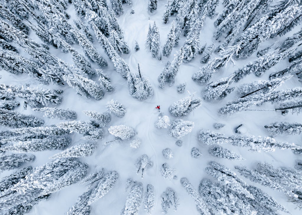 Revelstoke (c)Tom Poole RMR JJVinet 24 02 07 2024 (16 of 22)