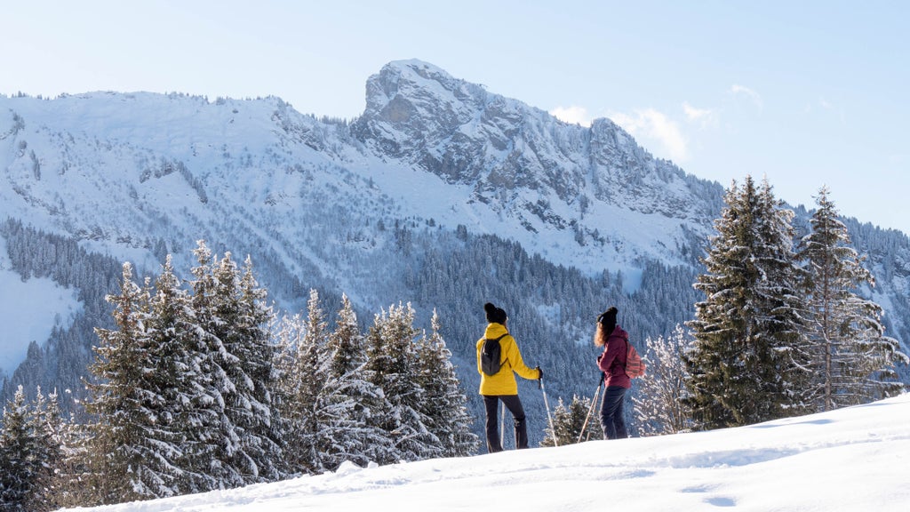 Morzine_Snowshoe Hike_Scenic View_(c): Juliette Revol