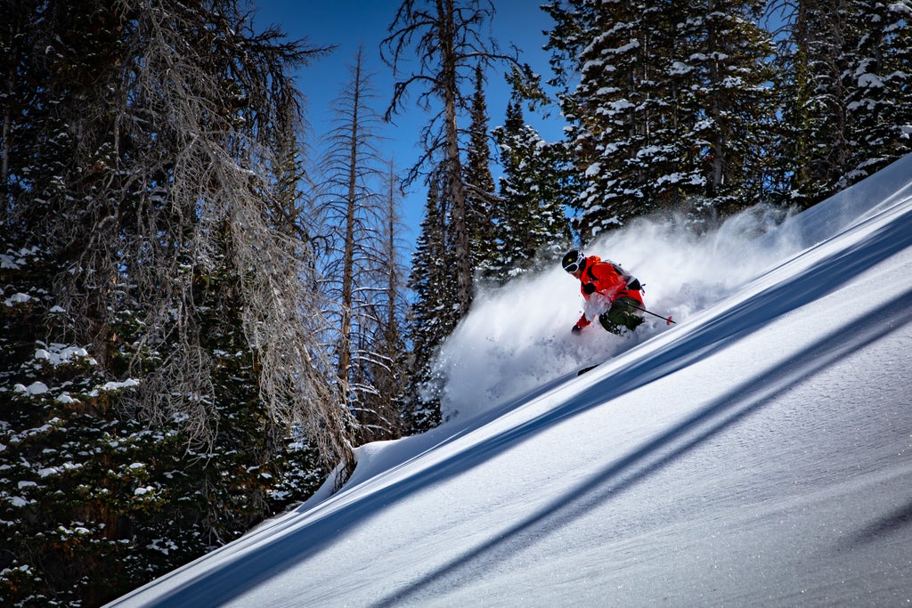 Snowbird_Powderbird Experience_Steep Powder_(c): Snowbird