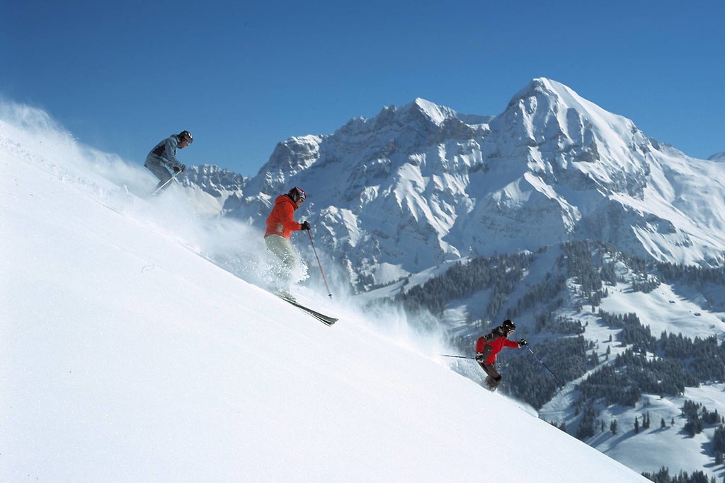 Powder skiers descending Adelboden.