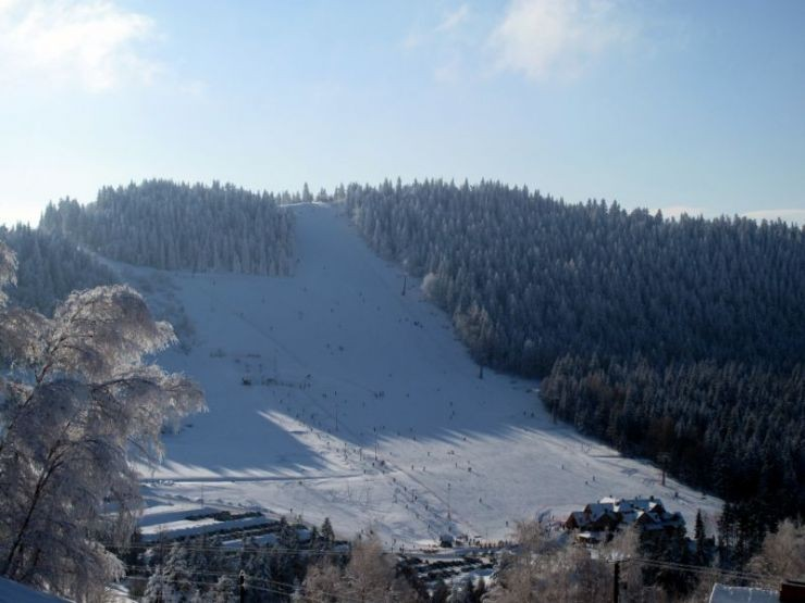 Limanowa ski