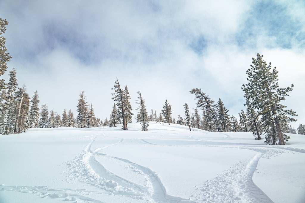 Boreal Mountain Resort_Off-Piste Terrain_(c): Boreal Mountain Resort