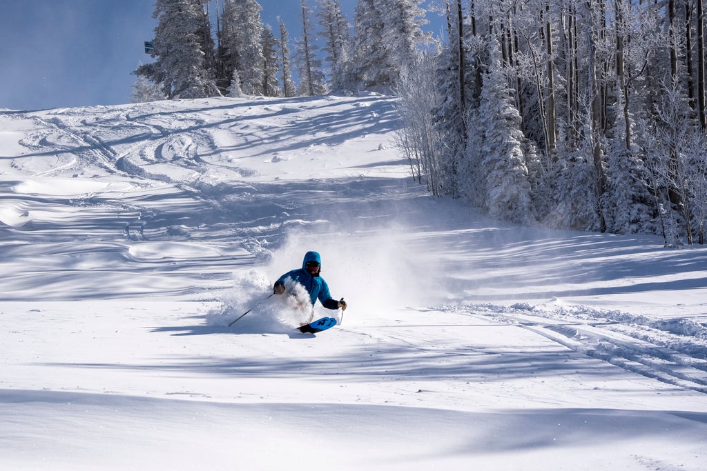 240108 - 15  New Snow  95 (1)