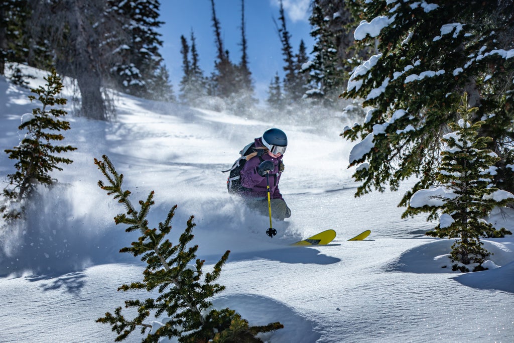 Snowbird_Powderbird Experience_Female Skier Carving Through Trees_(c): Noah Wetzel
