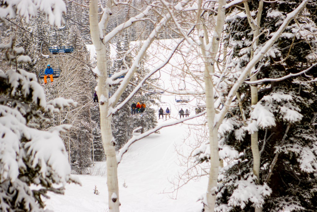 Beaver Mountain Beaver Mountain chairlift scenery