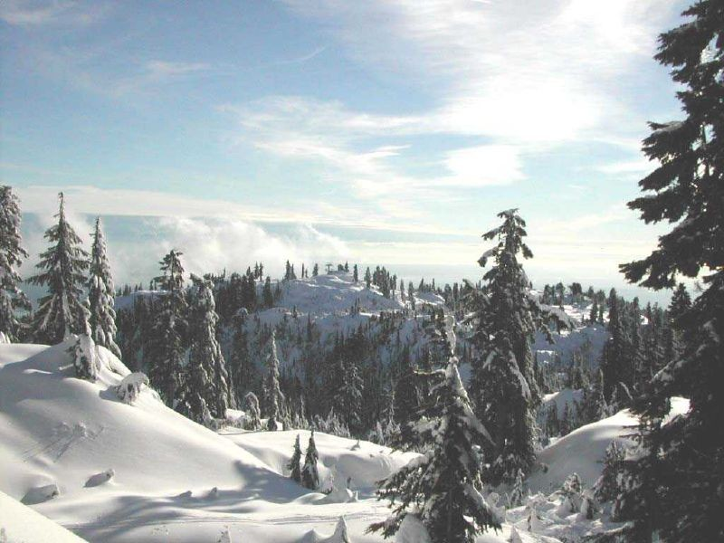 Mt Seymour