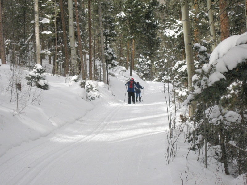 Enchanted Forest Ski Area