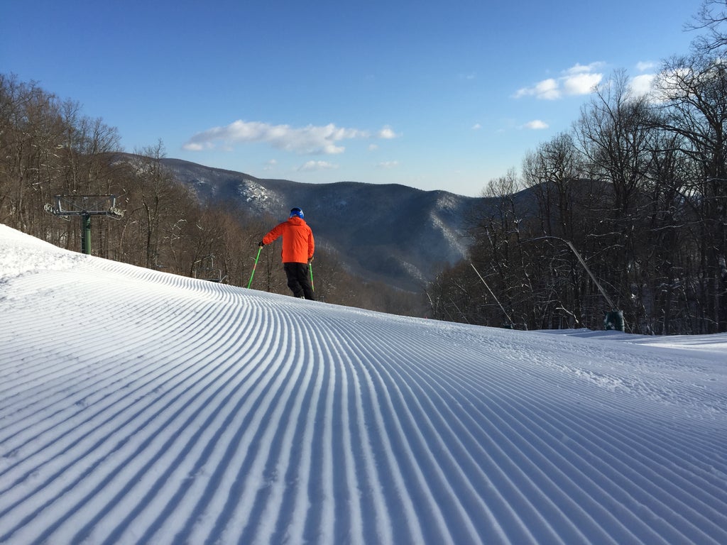 Wintergreen IMG 0371