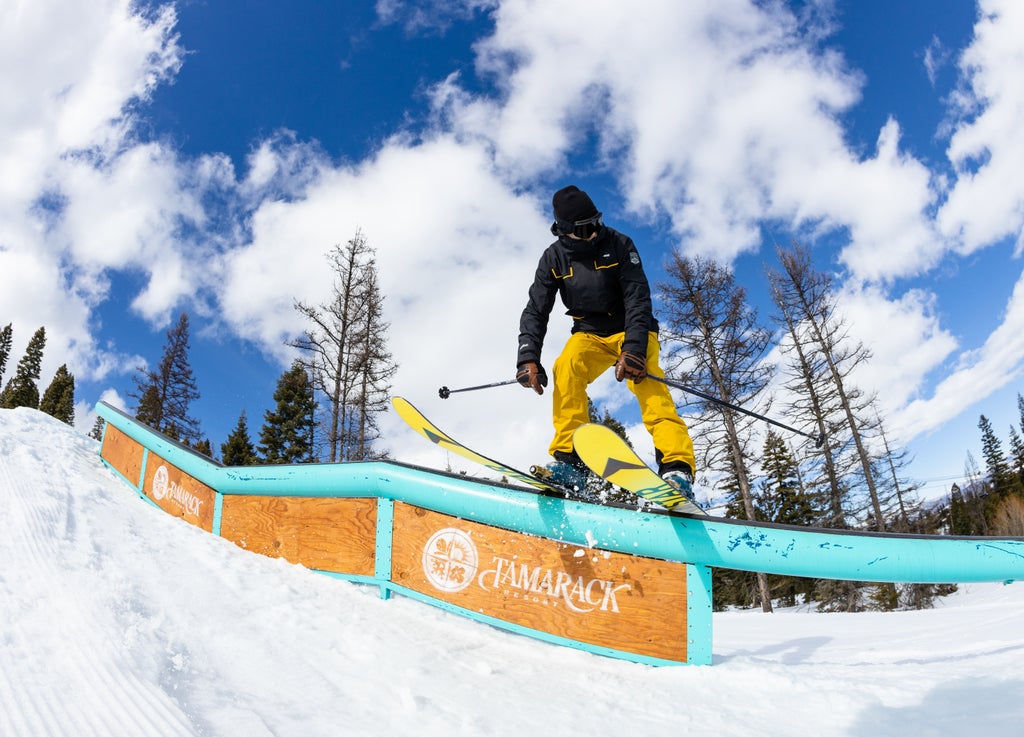 Credit John Webster 200310jjw-476