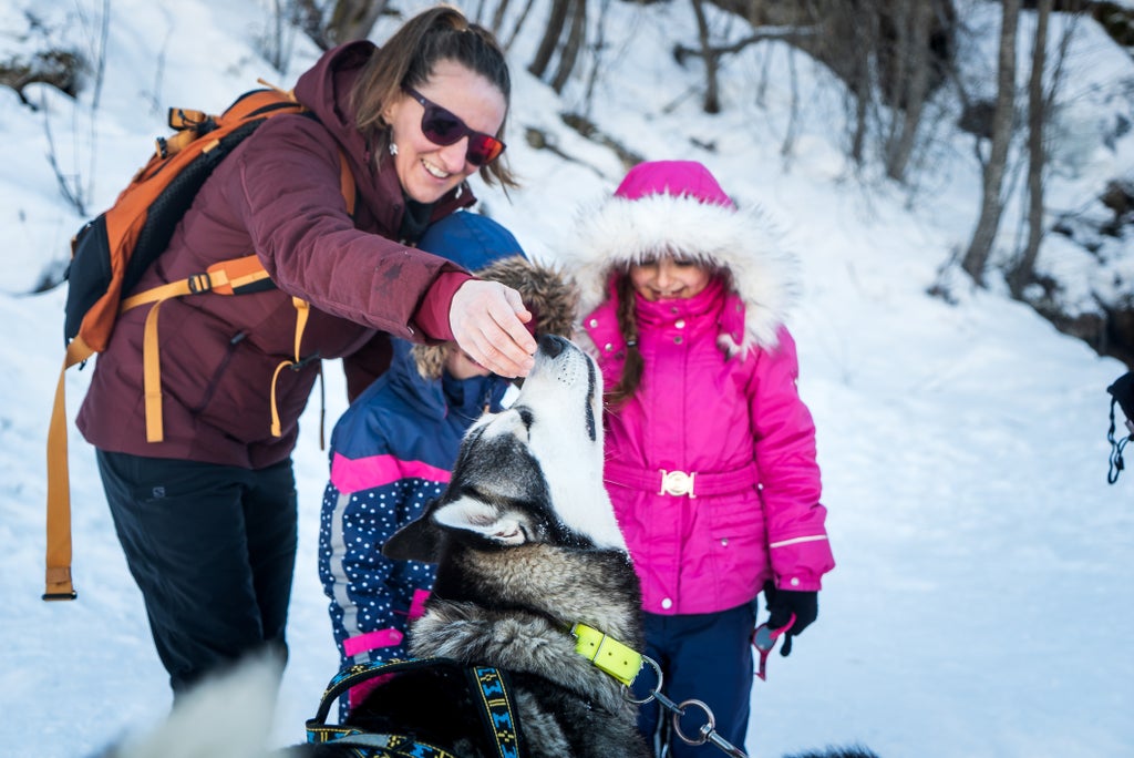 Balade en traineau a chien-Vincent LOTTENBERG-27137