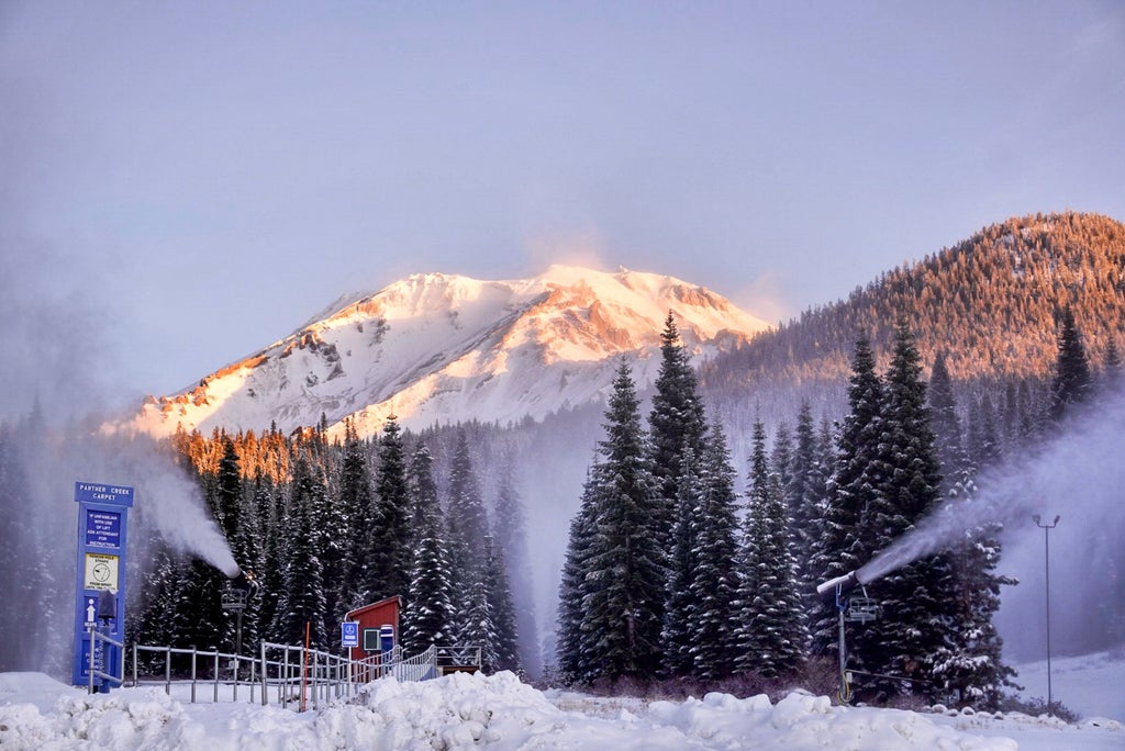 Mt. Shasta, CA