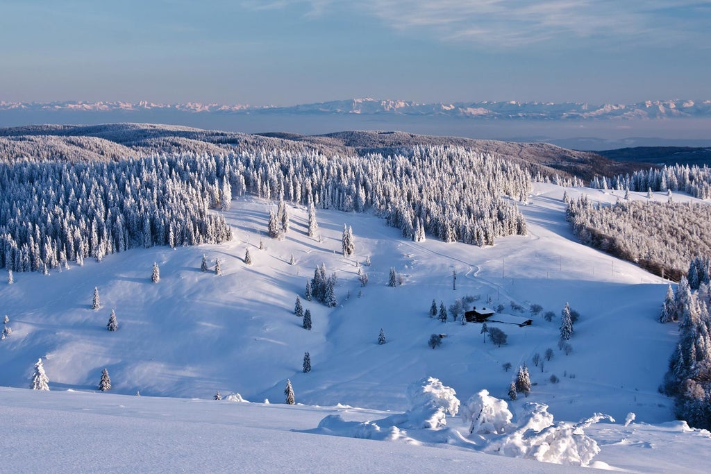 Bernau im Schwarzwald