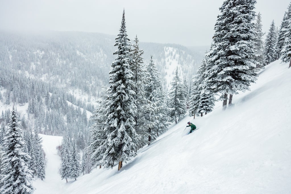 Silver Star_Powder Backcountry Skiing_(c): Robb Thompson