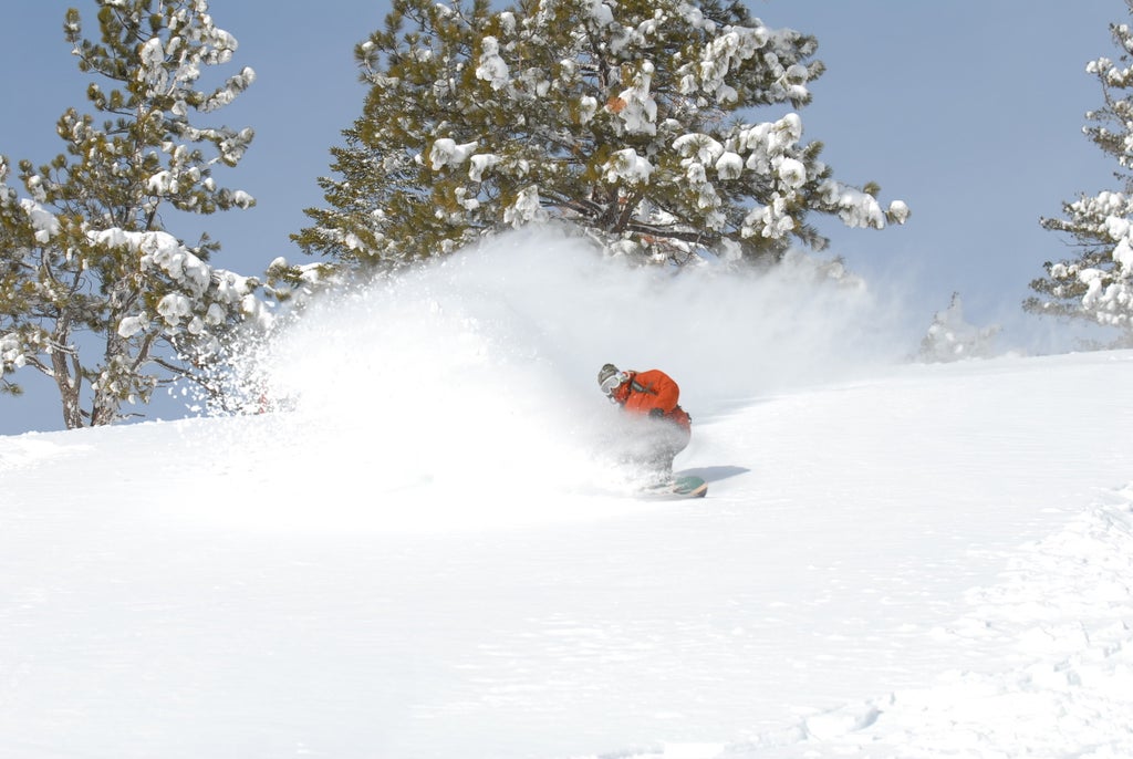 This snowboarder makes fresh tracks at Sugar Bowl Ski Resort, California