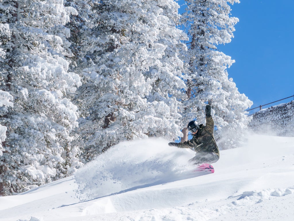 Male Boarder on Pow Day - Courtesy of Arizona Snowbowl