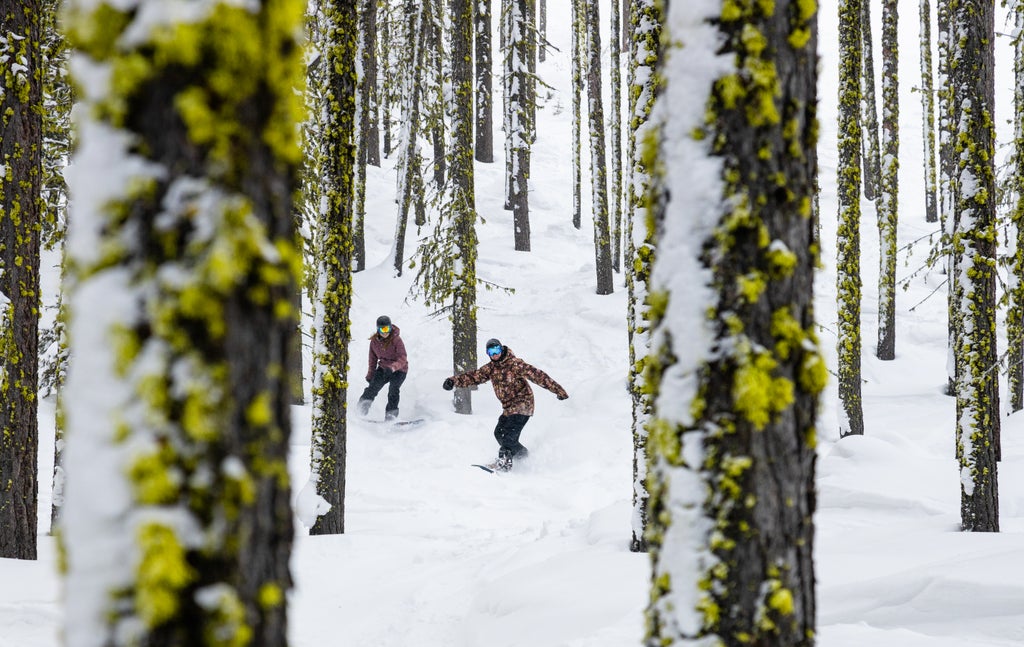 Credit John Webster 2020.2.16 Snowboard-283