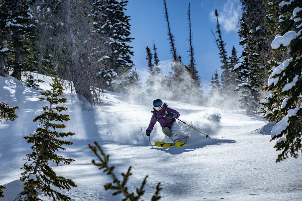 Snowbird_Powderbird Experience_Skier Through The Trees_(c): Noah Wetzel