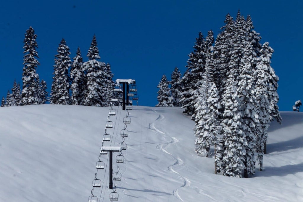 Homewood Mountain Resort - Lift line and fresh track