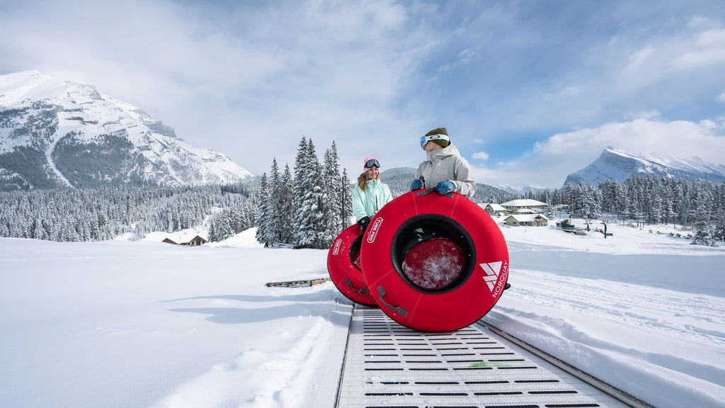SB3-2024-MtNorquay CREDIT ReubenKrabbe 12