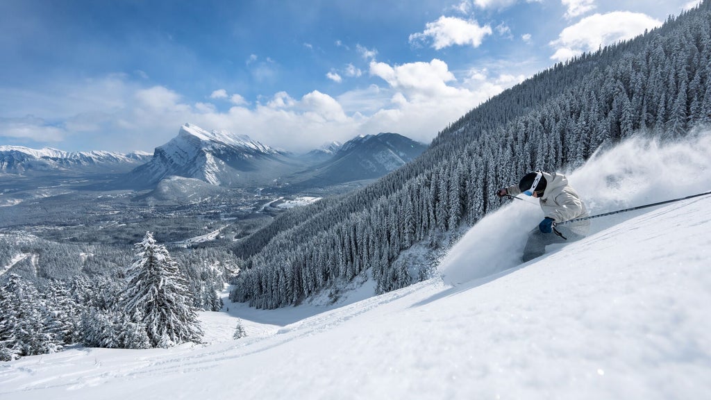 SB3-2024-MtNorquay CREDIT ReubenKrabbe 13