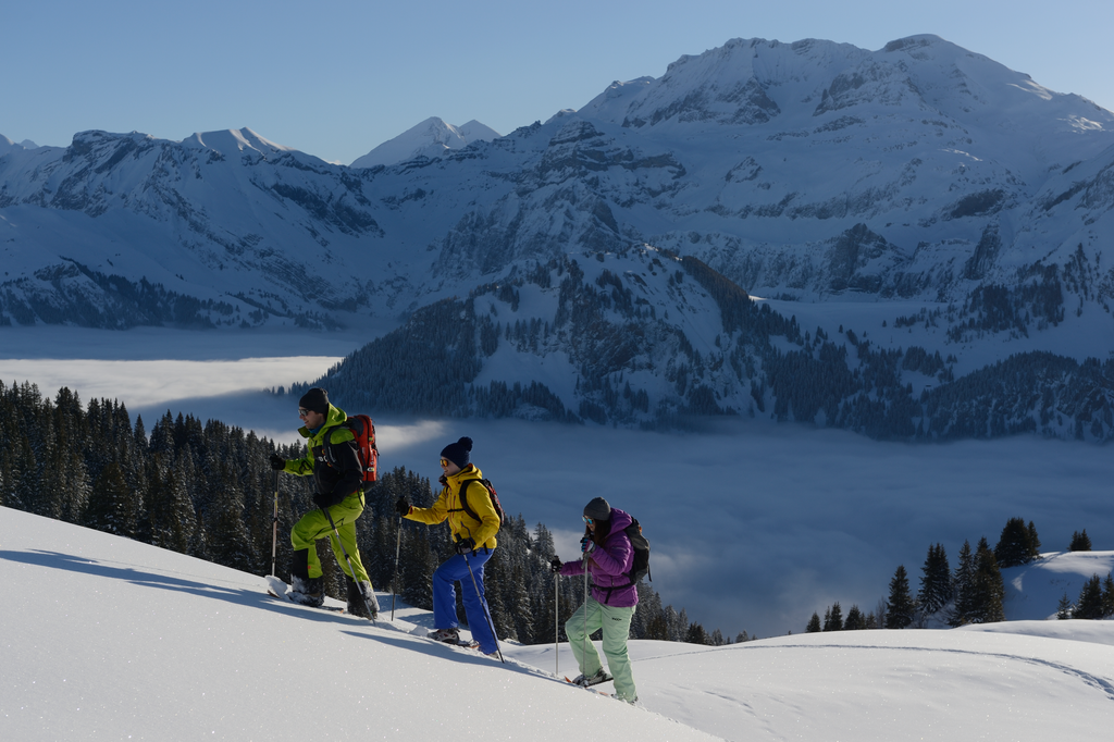 Schneeschuhwandern 1