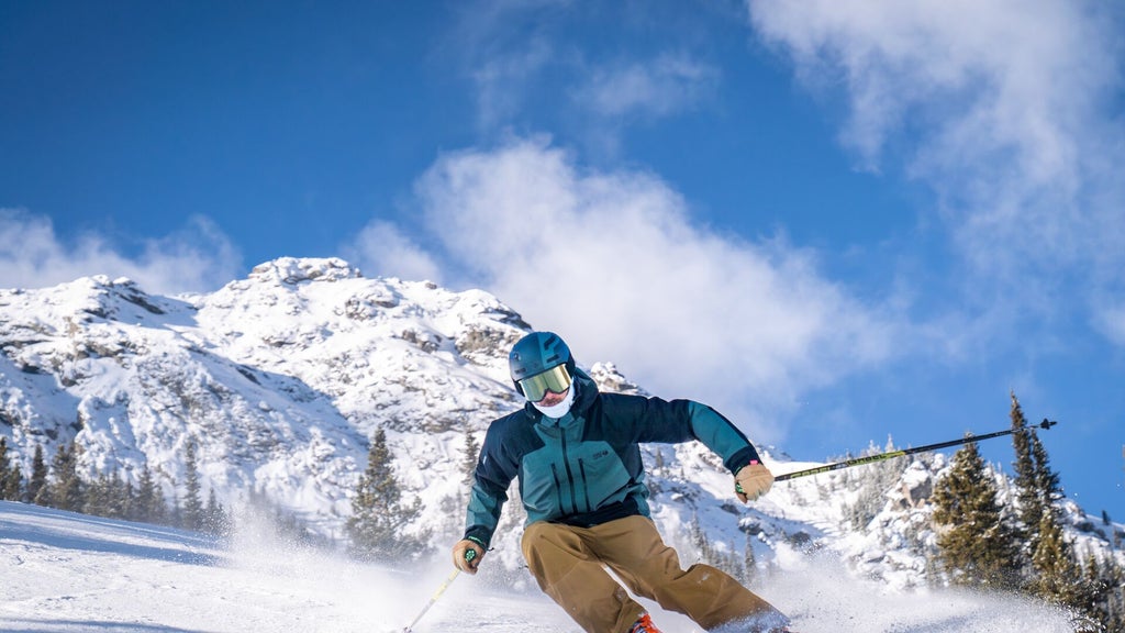 Mount Norquay_Skier Carving_(c): SkiBig3 / Jill Tester