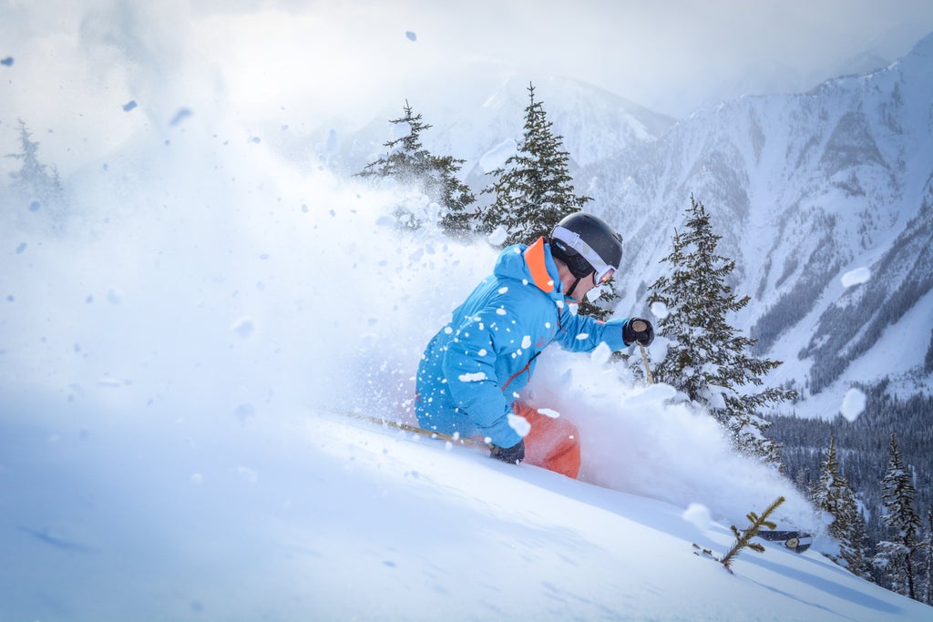 kicking-horse-mountain-resort---february-2017 33914398983 o