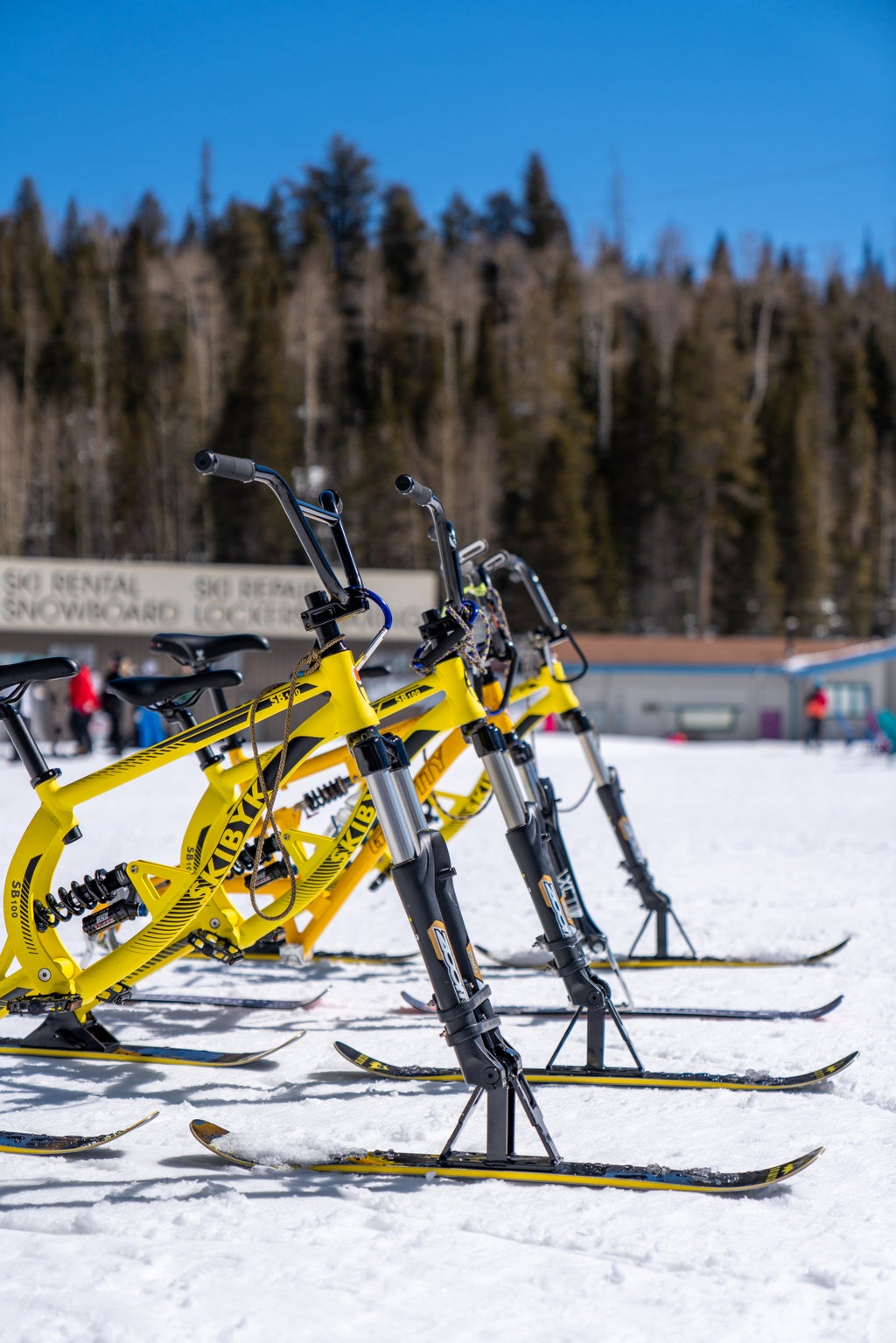 Sunrise Park Resort Winter 2021-27