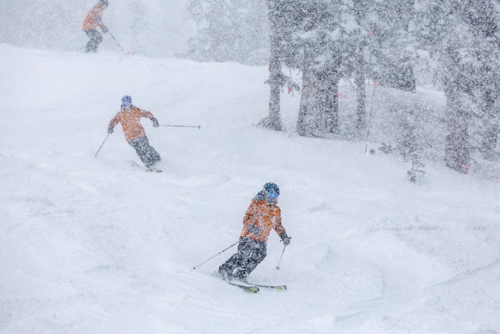 Alta Ski Area, Utah, powder