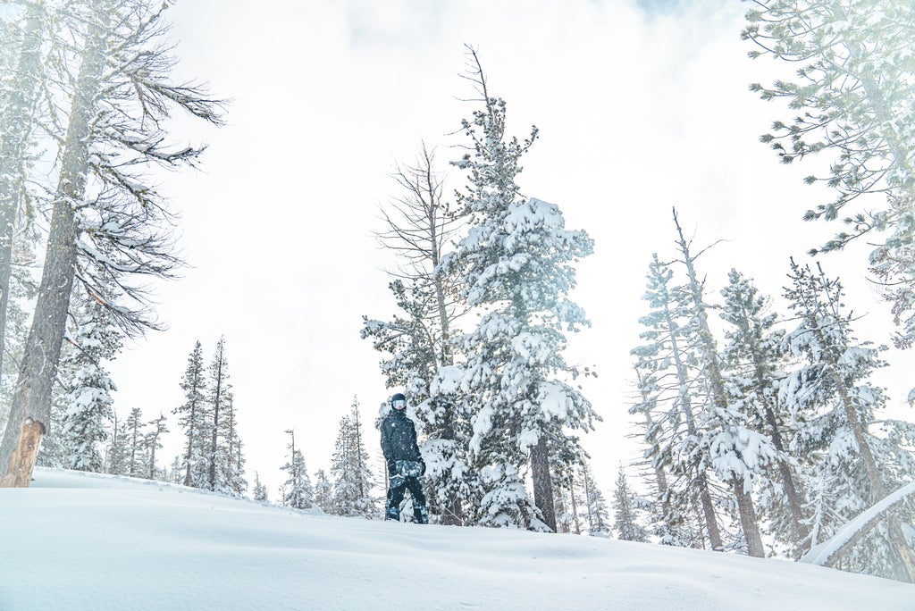 Boreal Mountain Resort_Off-Piste Through The Trees_(c): Boreal Mountain Resort