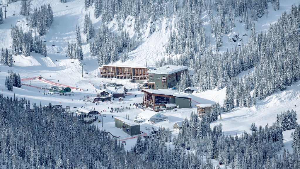 SB3-2024-SunshineVillage-Credit ReubenKrabbe 09