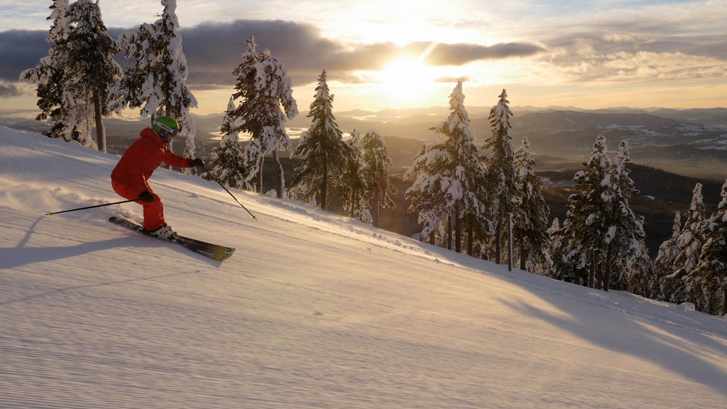 Baldy Mountain Resort - Ski Shot Sunrise - Credit SnowSeekers - Photographer Chris Wheeler (2)